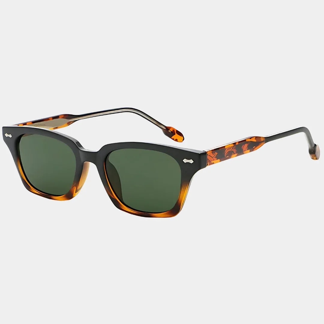 Elvan — Tortue Montrel